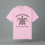 Gulf of Mexico T-Shirt